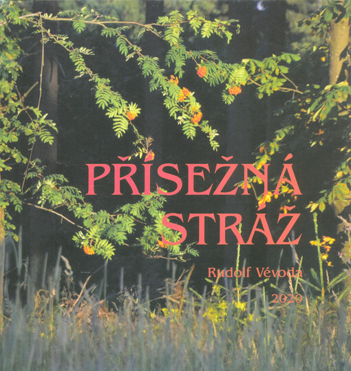Přísežná stráž