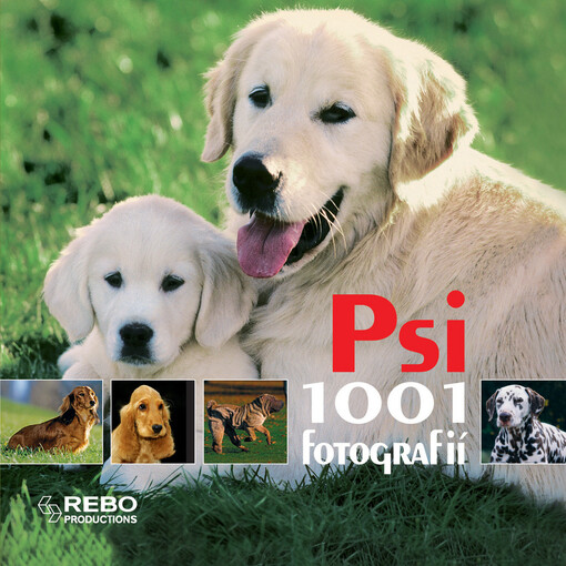 Psi: 1001 fotografií