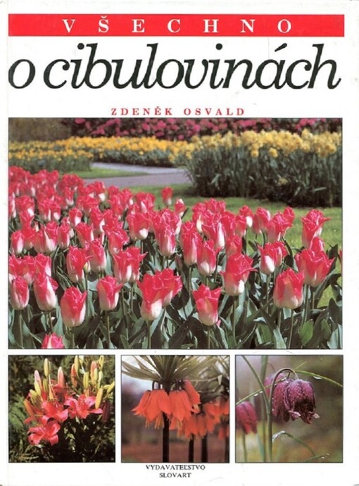 Všechno o cibulovinách