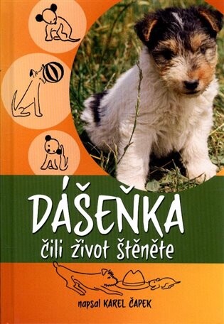 Dášeňka, čili, Život štěněte