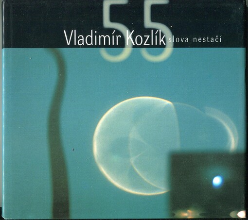 Vladimír Kozlík: slova nestačí