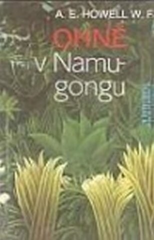 Ohně v Namugongu : příběh afrických misionářů a mučedníků