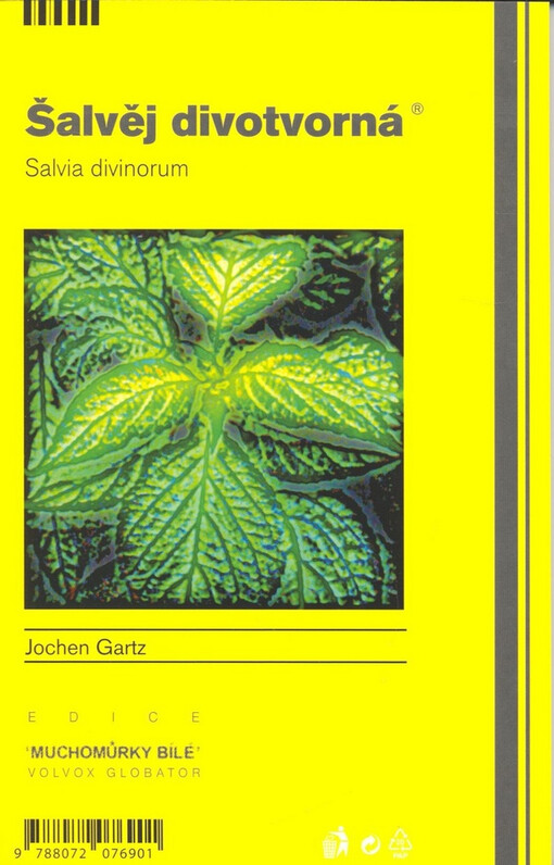 Šalvěj divotvorná =: Salvia divinorum