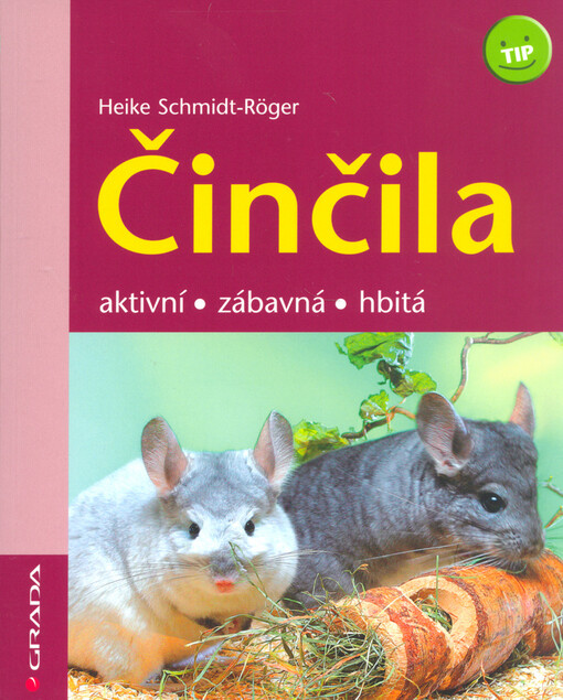 Činčila: aktivní, zábavná, hbitá