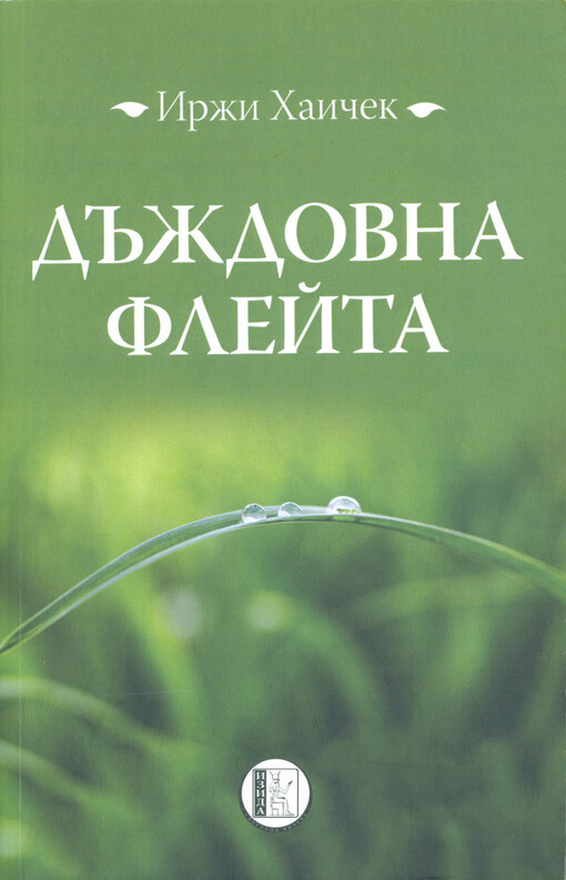Dăždovna flejta : roman
