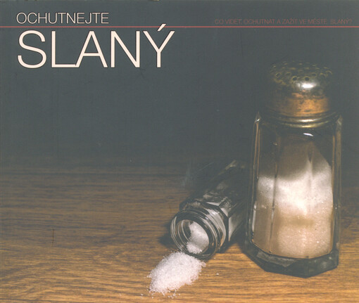 Ochutnejte Slaný : co vidět, ochutnat a zažít ve městě Slaný?