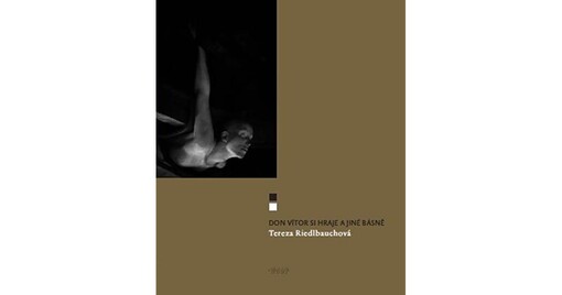 Don Vítor si hraje a jiné básně