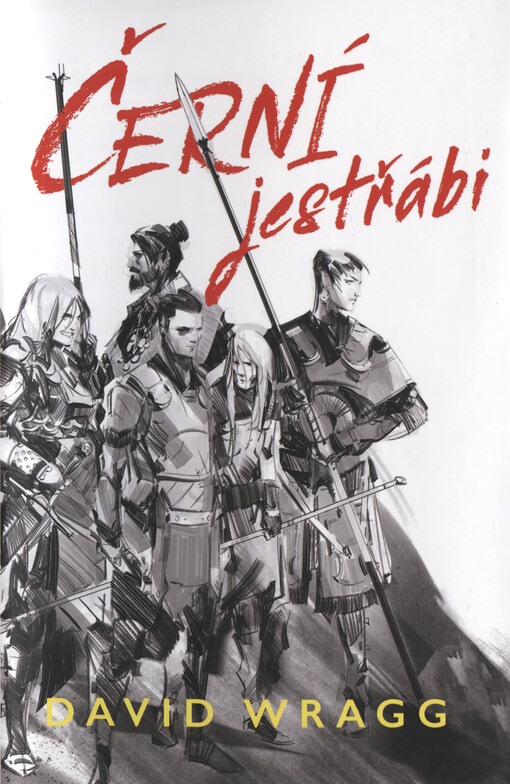 Černí jestřábi