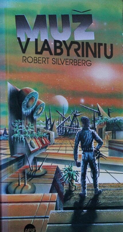 Muž v labyrintu