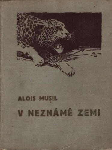 V neznámé zemi