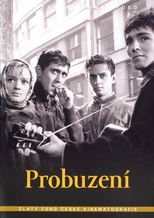 Probuzení
