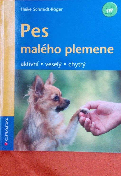 Pes malého plemene: aktivní, veselý, chytrý