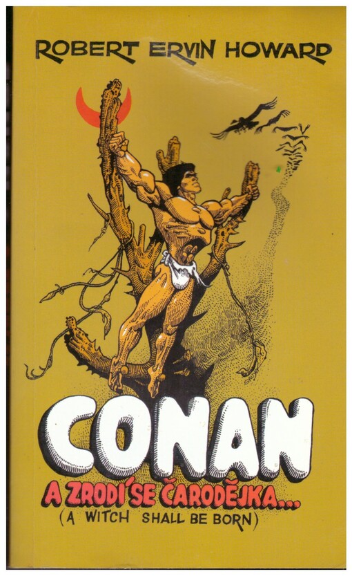 -a zrodí se čarodějka a jiné povídky