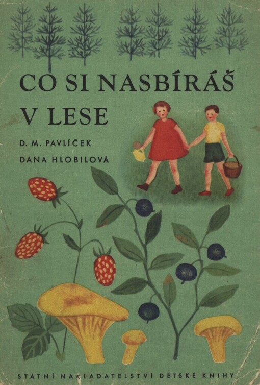 Co si nasbíráš v lese