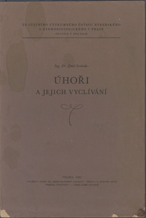 Úhoři a jejich vyclívání