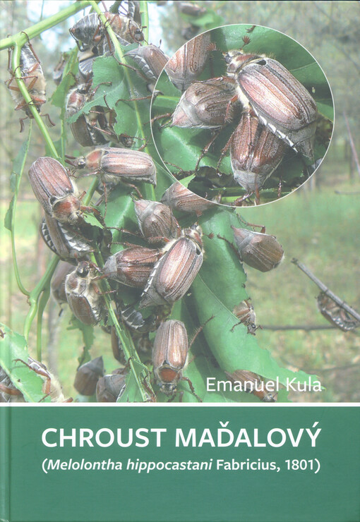 Chroust maďalový : (Melolontha hippocastani Fabricius, 1801)