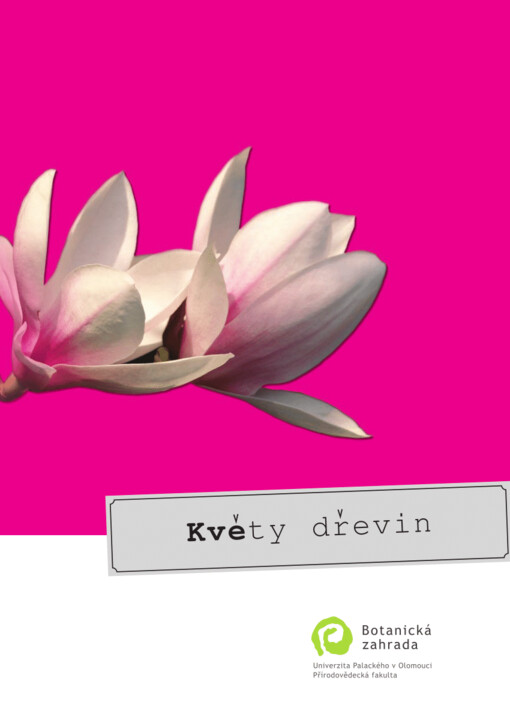 Poznáváme květy dřevin: morfologie květů dřevin Botanické zahrady Přírodovědecké fakulty Univerzity Palackého v Olomouci