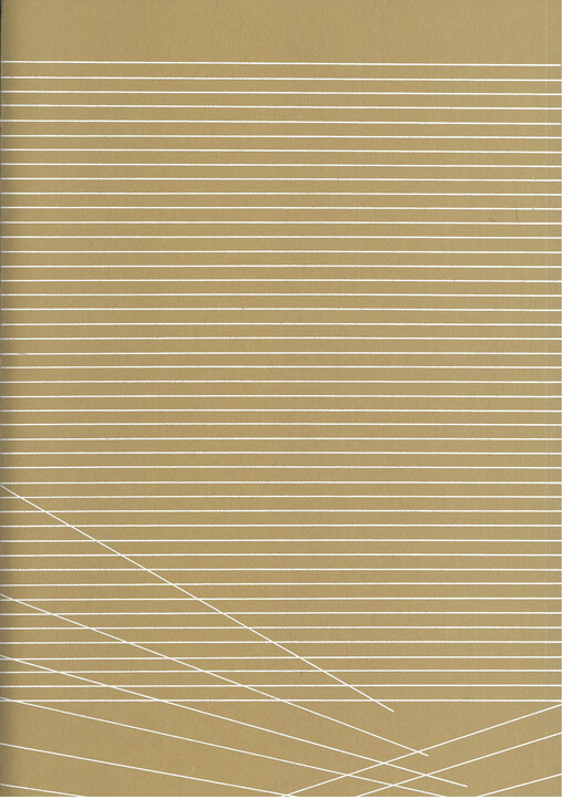 Jan Kubíček : kresby a koláže = drawing and collages