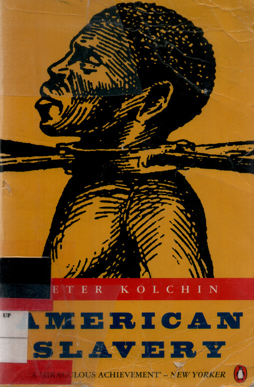 American slavery : 1619-1877