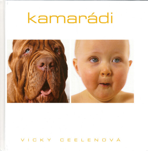 Kamarádi