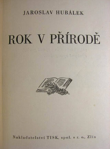 Rok v přírodě