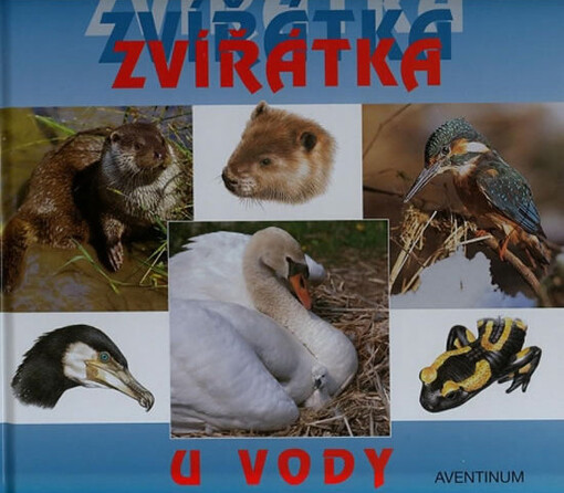 Zvířátka u vody