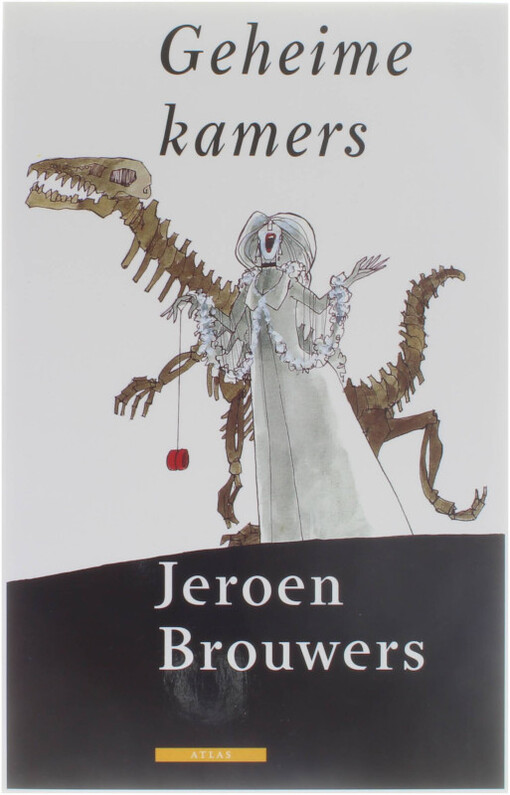 Geheime kamers (Dutch Edition)