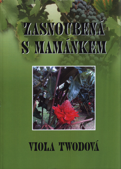 Zasnoubená s mamánkem
