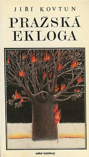 Pražská ekloga : román o 14 obrazech