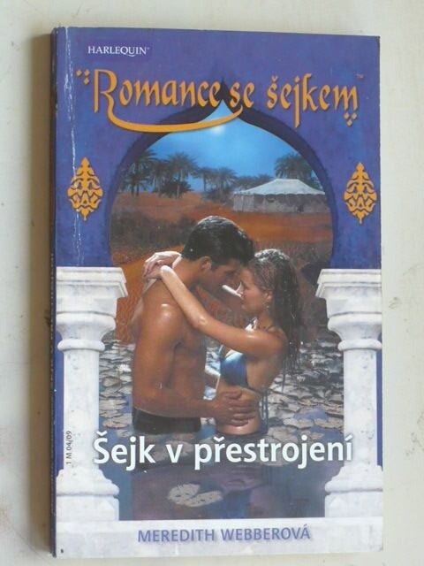 Šejk v přestrojení