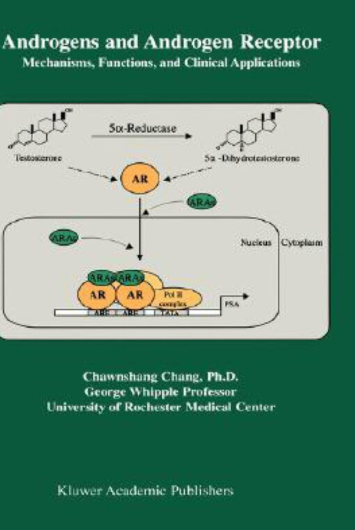 Androgens and Androgen Receptor: Mechanisms, Functions, and Clinical Applications