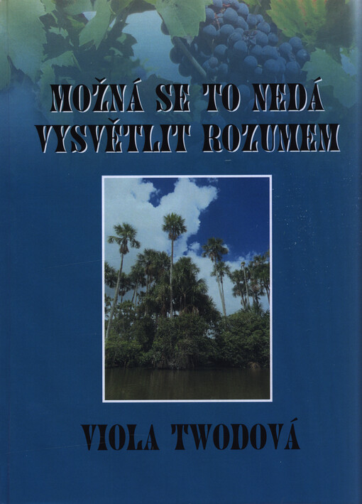 Možná se to nedá vysvětlit rozumem