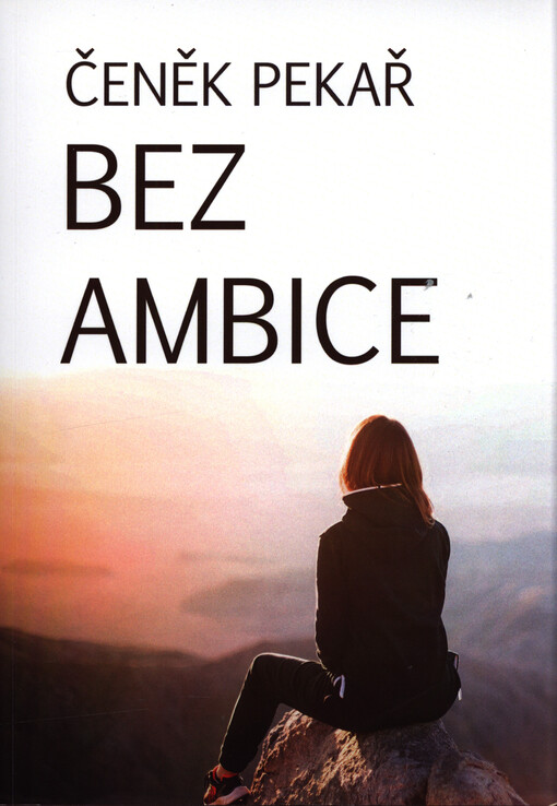 Bez ambice