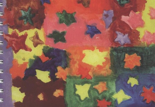 Hvězdy : výstava praktických diplomových prací Fakulty výtvarných umění VUT v Brně 2007 : 28. června - 29. července 2007 Galerie FaVU : v Galerii Brno do 19. srpna 2007