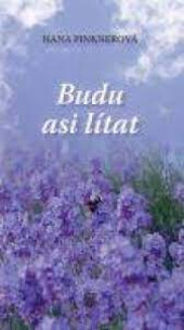Budu asi lítat