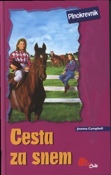 Cesta za snem