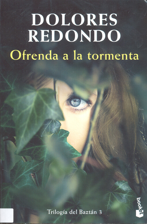 Ofrenda a la tormenta