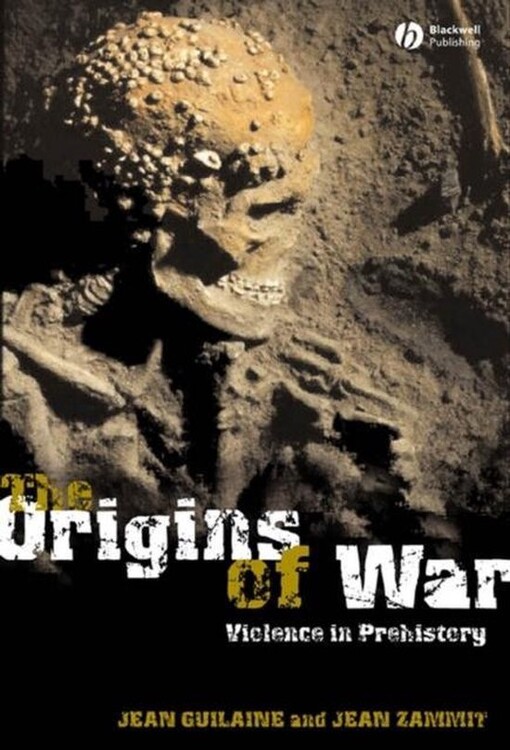 The origins of war : violence in prehistory