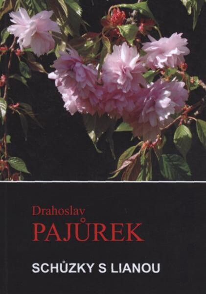 Schůzky s Lianou : příběh z poloviny dvacátého století