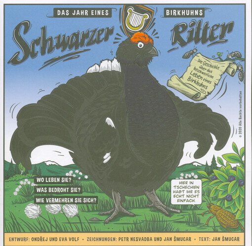 Schwarzer Ritter : das Jahr eines Birkhuhns : die Geschichte über das beschwerliche Leben eines Birkhuns