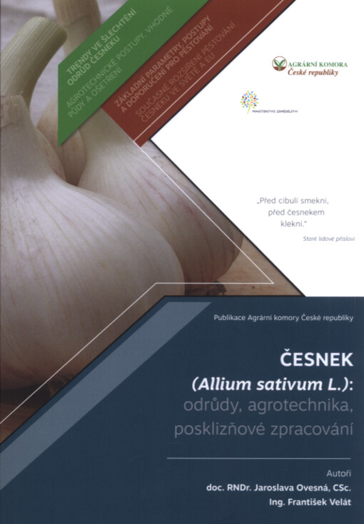Česnek (Allium sativum L.): odrůdy, agrotechnika, posklizňové zpracování