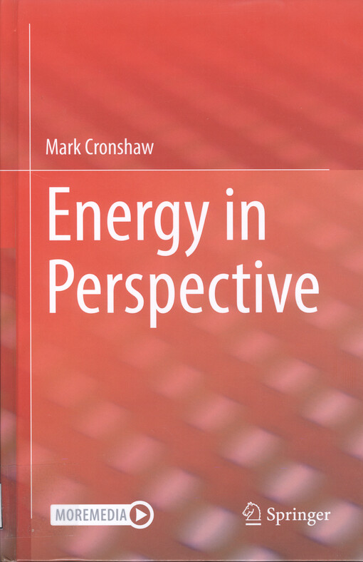 Energy in perspective