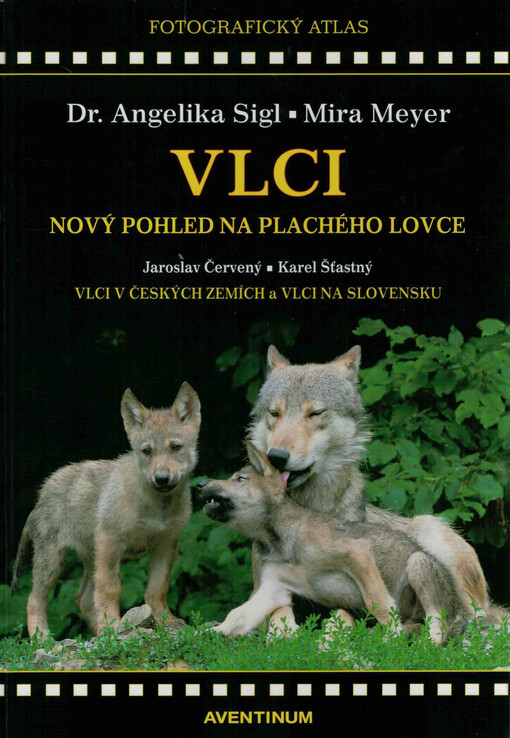 Vlci : nový pohled na plachého lovce