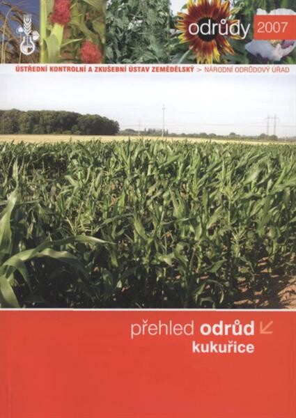 Přehled odrůd kukuřice