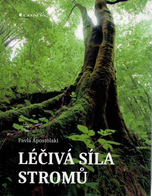 Léčivá síla stromů