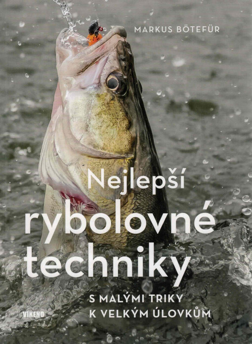 Nejlepší rybolovné techniky : s malými triky k velkým úlovkům