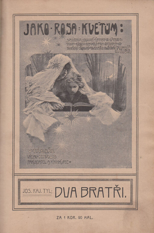 Dva bratři, aneb, Český jazyk moje škoda: strakatina ze skutečného života