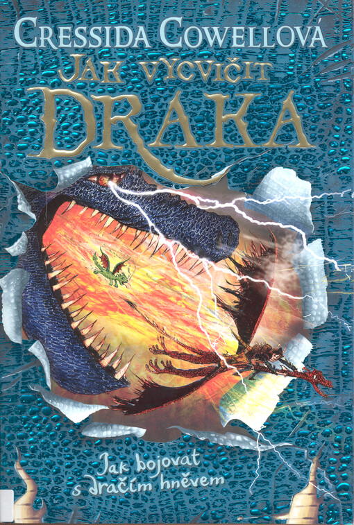 Jak bojovat s dračím hněvem