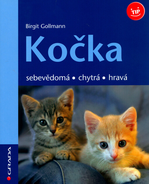 Kočka : sebevědomá, chytrá, hravá