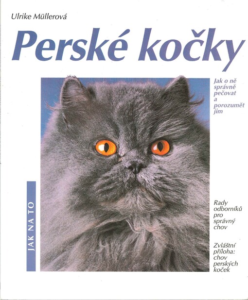 Perské kočky: porozumění a správná péče